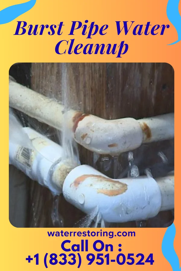 Burst Pipe Water Cleanup in Belen, NM