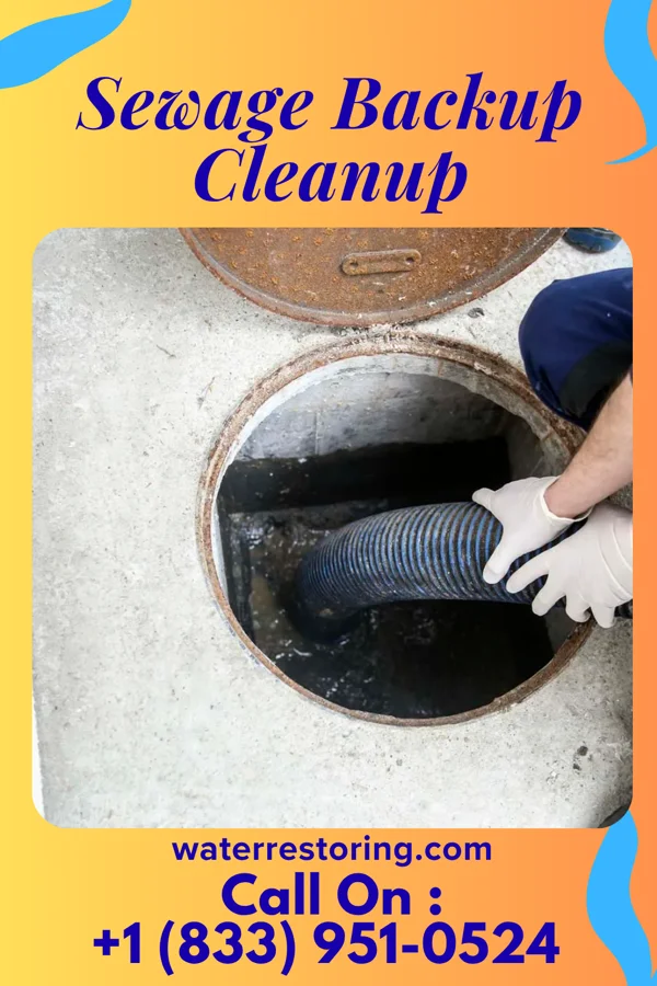 Sewage Backup Cleanup in Belen, NM