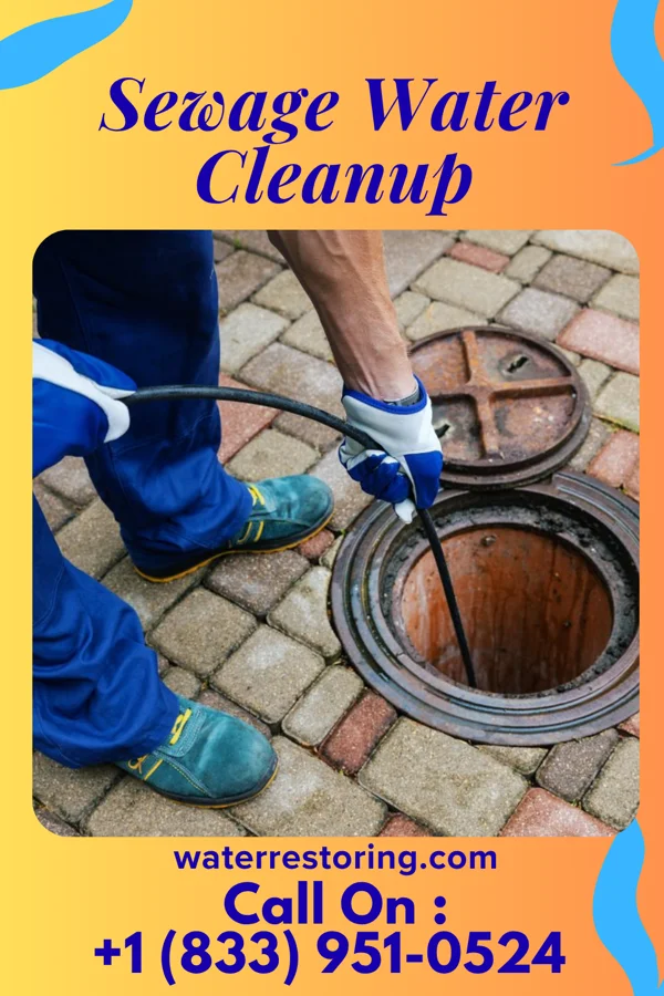 Sewage Water Cleanup in Belen, NM